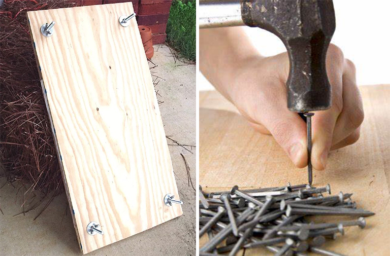 建立樹葉和植物出版社-保留葉子以供研究和研究