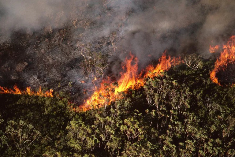 野火何時何地發生-許多山火由雷擊引起多則是人類活動引起的