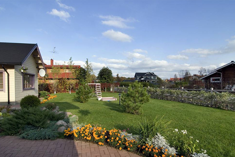 在北弗吉尼亞州表現出色的開花鱗莖