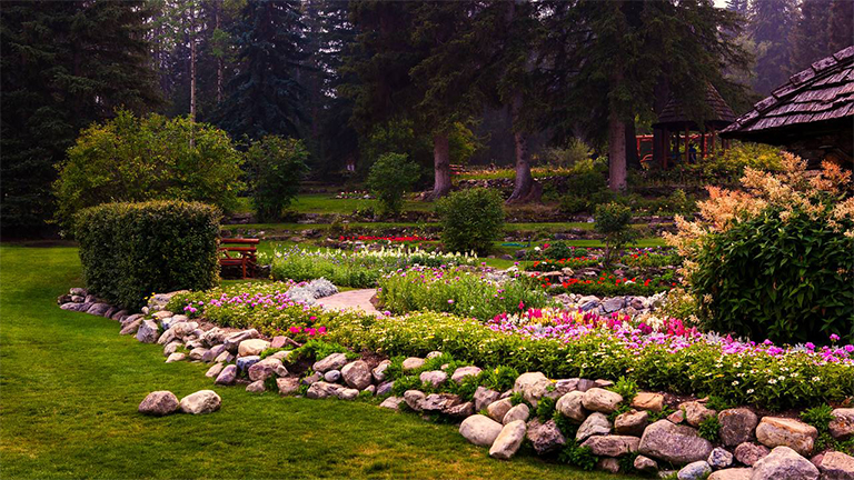 園藝護理-北弗吉尼亞州常見的園林植物b害
