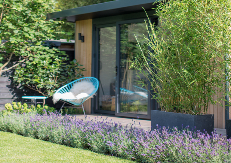 如何打造一個對野生動物友好的植物花園？