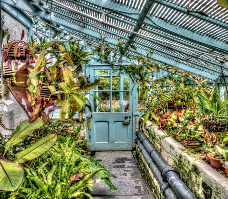 佳英國花園推薦—從廣闊的鄉村地區到市中心的植物天堂