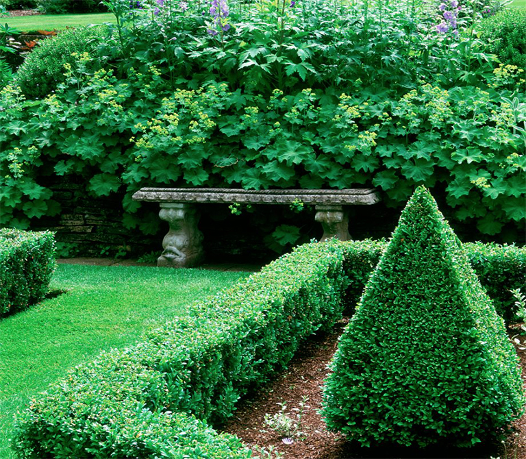 適用于所有戶外空間的植物花園藝術(shù)創(chuàng)意（下）
