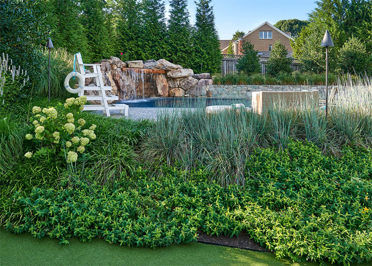 健康的土壤：植物花園所有美化工作的基礎——第1部分