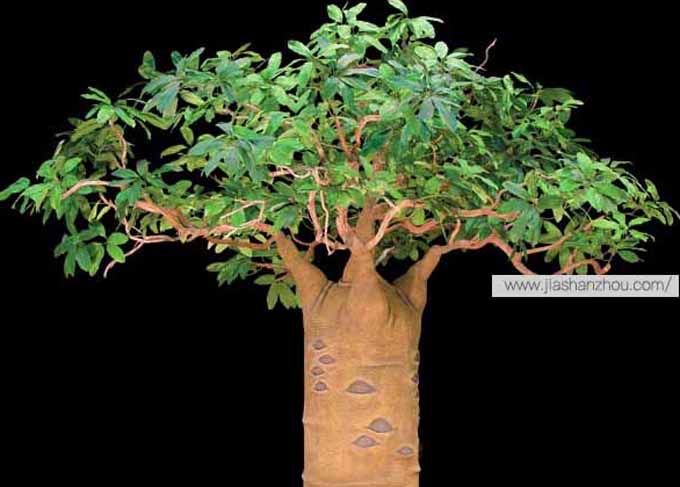 仿真面包樹(shù).jpg 仿真面包樹(shù)