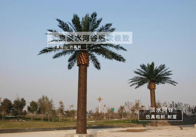 仿真海棗樹.jpg 仿真海棗樹