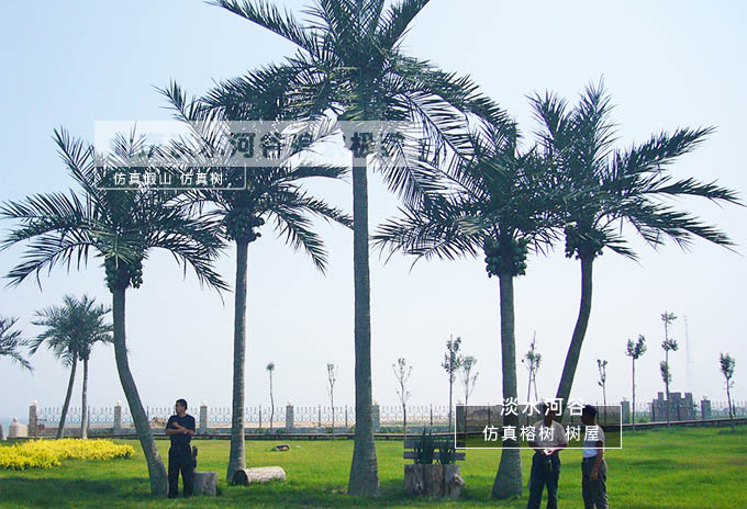 仿真椰子樹.jpg 仿真椰子樹