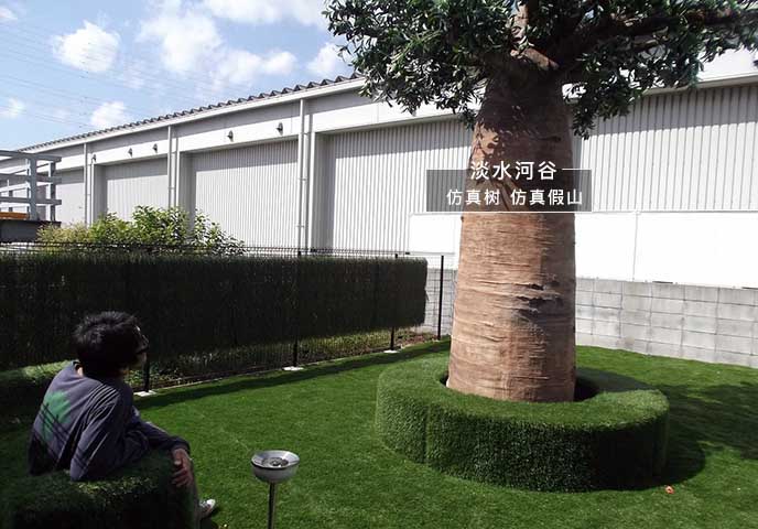 仿真面包樹.jpg 仿真面包樹