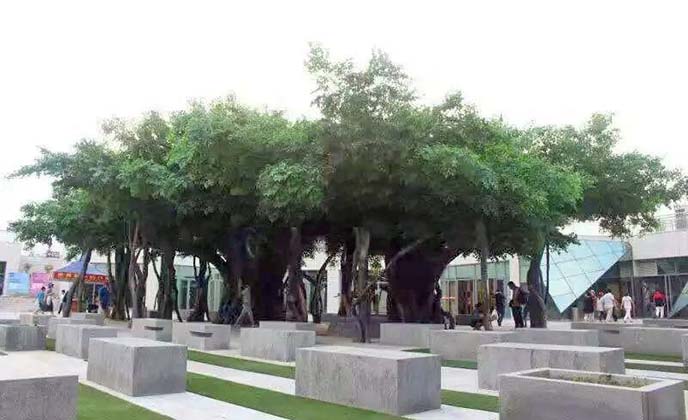 仿真榕樹(shù).jpg 仿真榕樹(shù)