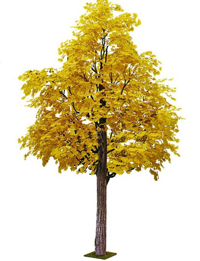 仿真銀杏樹(shù).jpeg 仿真銀杏樹(shù)