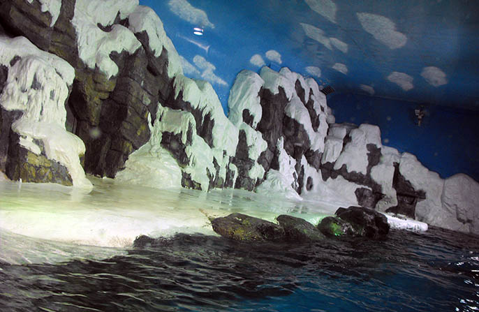 仿真雪山.jpg 仿真雪山