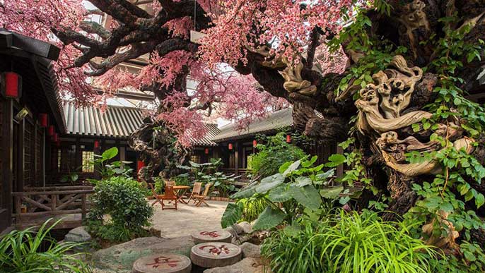 仿真臘梅樹(shù)