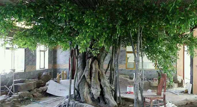 仿真樹.jpg 仿真樹