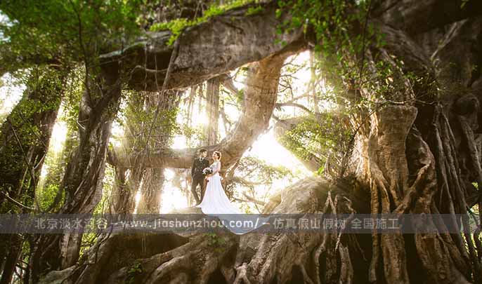 仿真樹.jpg 仿真樹