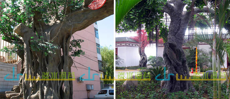 仿真樹.jpg 仿真樹