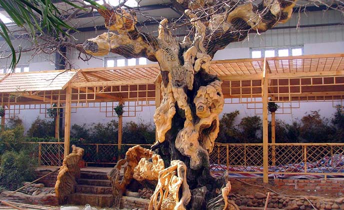 仿真樹圖片.jpg 仿真樹圖片