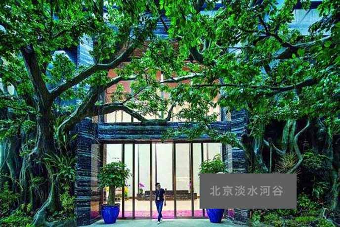 仿真大樹.jpeg 仿真大樹