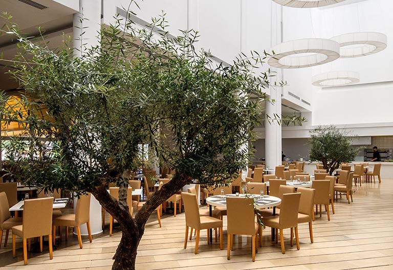 仿真樹.jpg 仿真樹