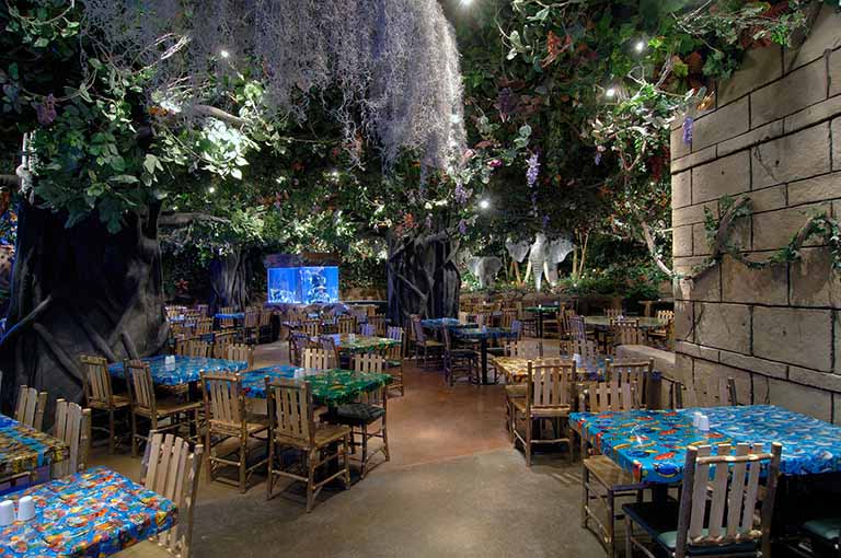 1583048789198384.jpg rainforestcafe12.jpg