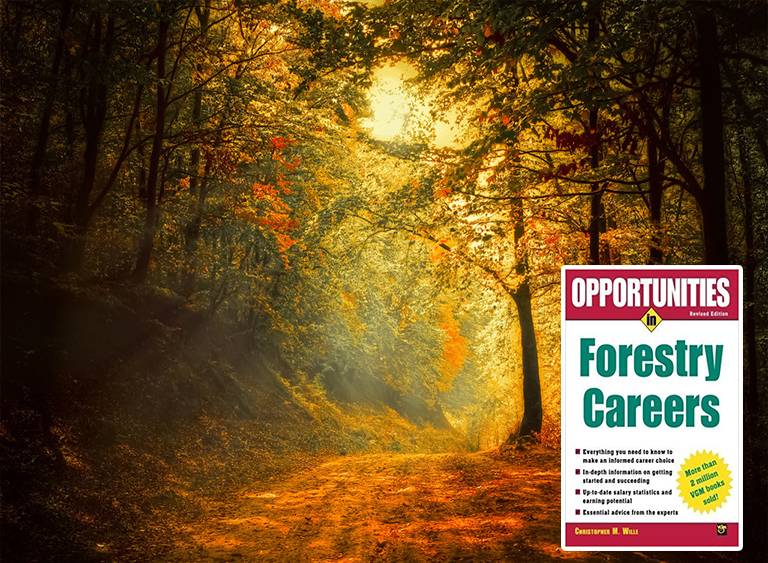 仿真樹.jpg 仿真樹