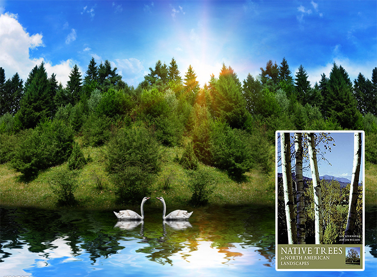 仿真樹.jpg 仿真樹