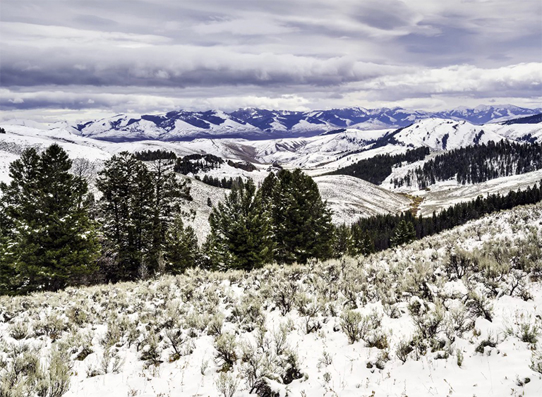 愛達(dá)荷州鮭魚Challis國(guó)家森林