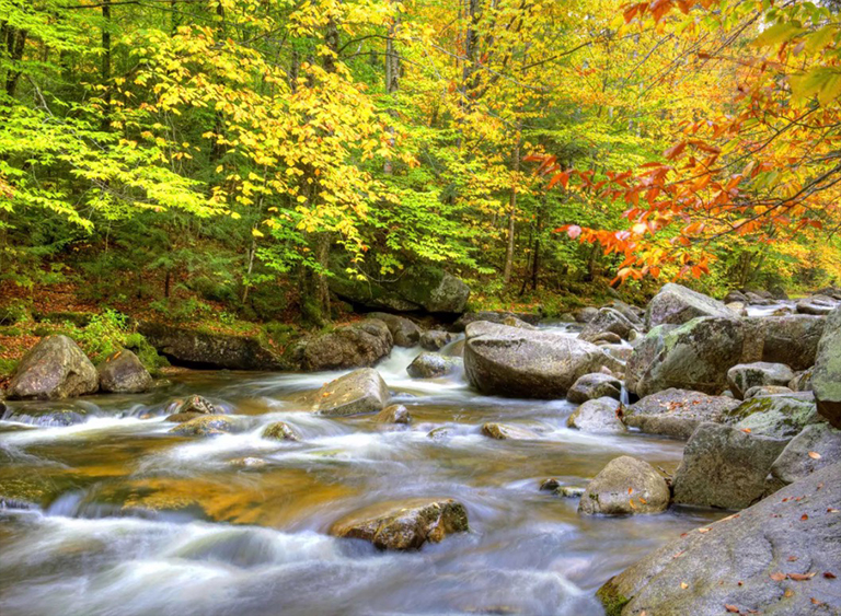懷特山國(guó)家森林公園在緬因州