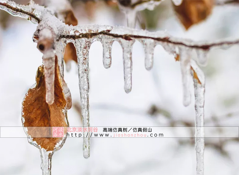 仿真樹.jpg 仿真樹