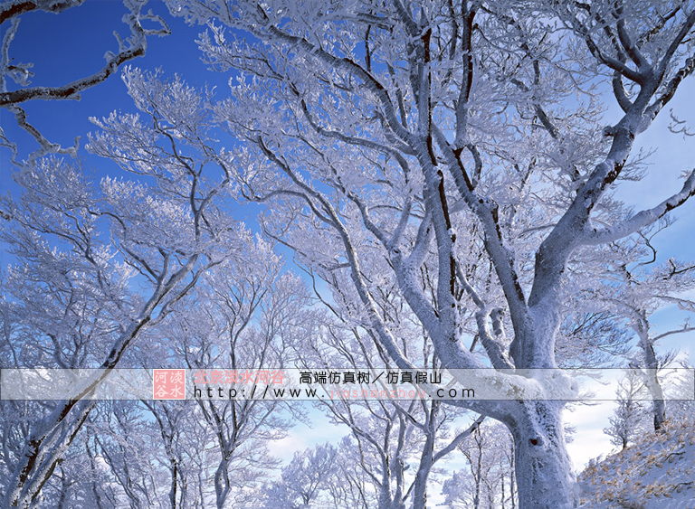 仿真樹.jpg 仿真樹