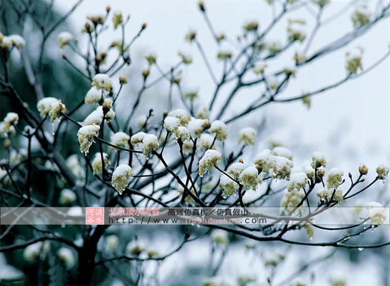 仿真樹.jpg 仿真樹