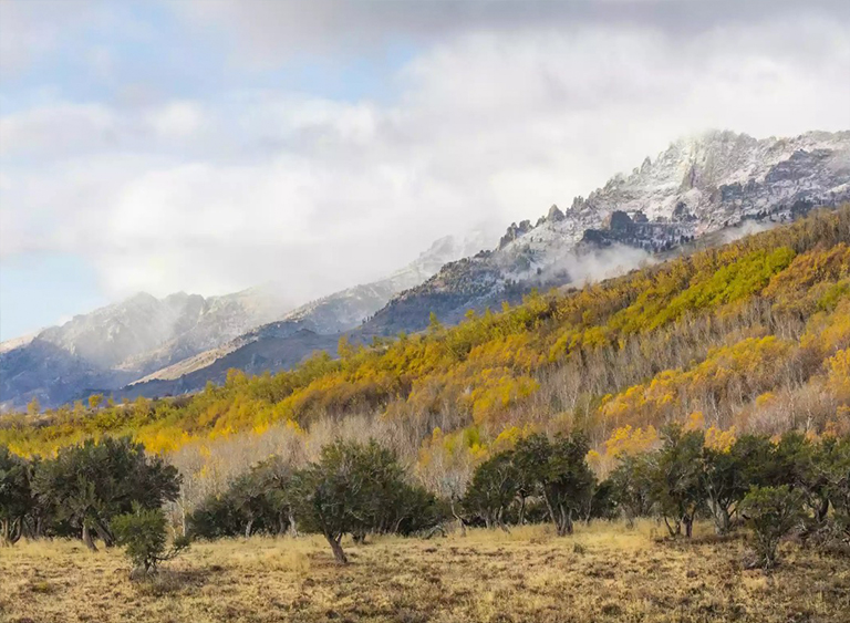 洪堡-Toiyabe國家森林在內華達州.jpg 洪堡-Toiyabe國家森林在內華達州