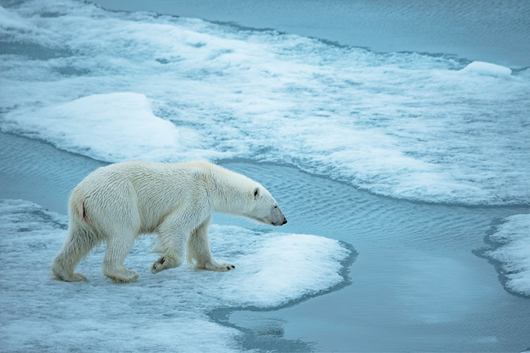 全球變暖.jpg 全球變暖