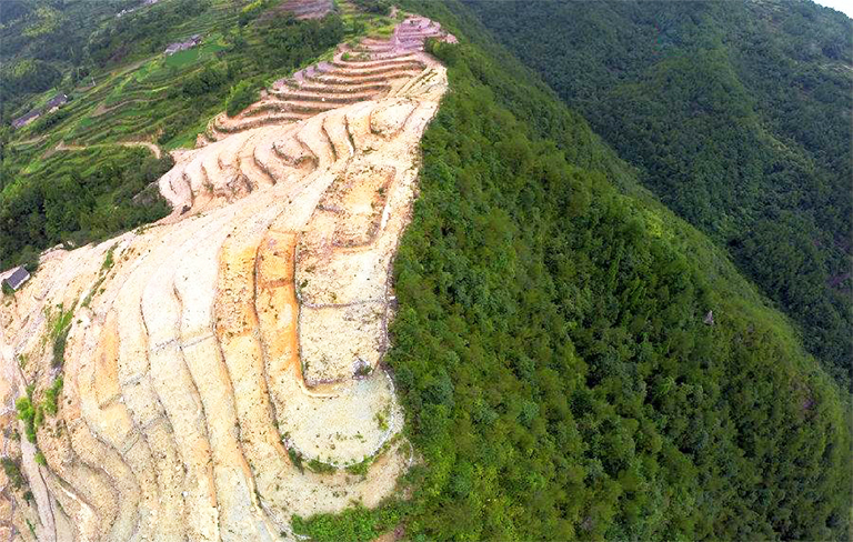 森林砍伐.jpg 森林砍伐