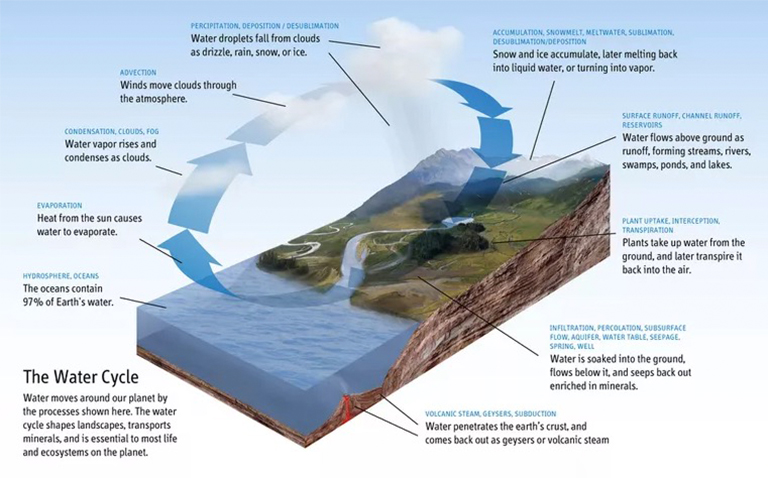 森林蒸騰與水循環.jpg 森林蒸騰與水循環