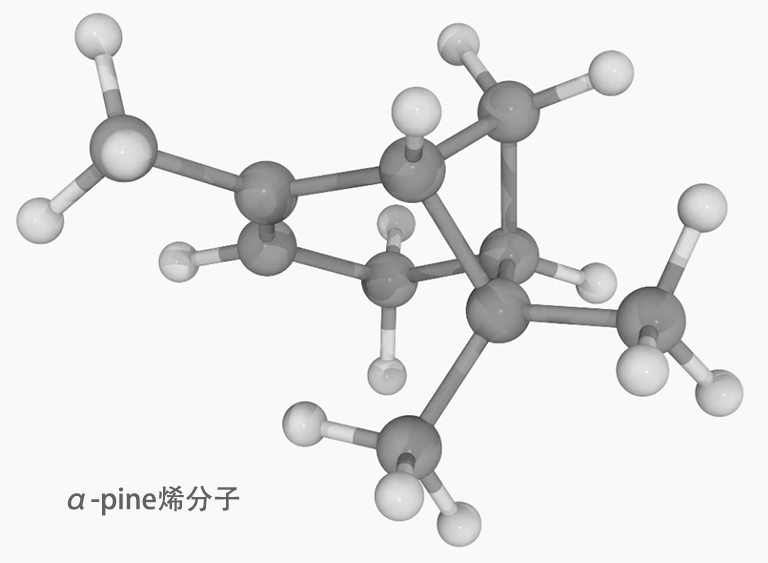 仿真樹.jpg 仿真樹