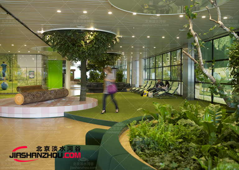 仿真樹.jpg 仿真樹