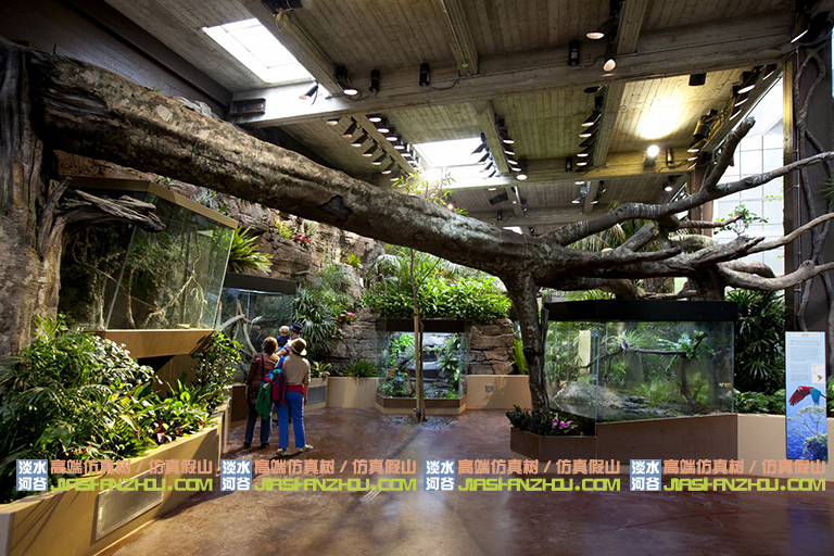 1587344371444088.jpg 1585097891354278.jpg