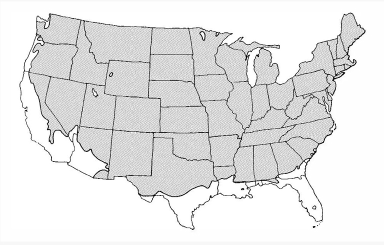 銀杏的種植范圍.jpg 銀杏的種植范圍