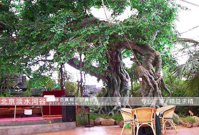 室外假樹(shù).jpg 室外假樹(shù)