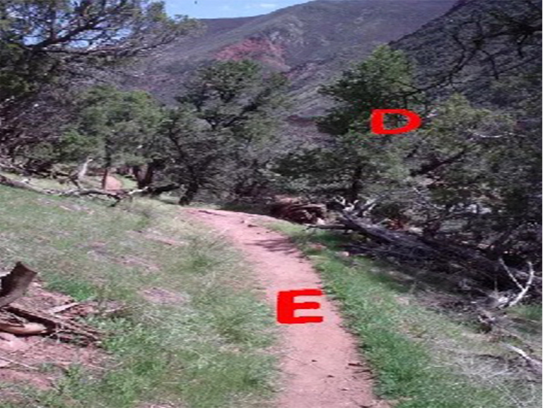 風(fēng)暴國王山紀念步道.jpg 風(fēng)暴國王山紀念步道