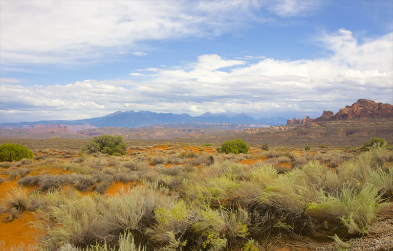 美國拱門NP破碎的拱形步道