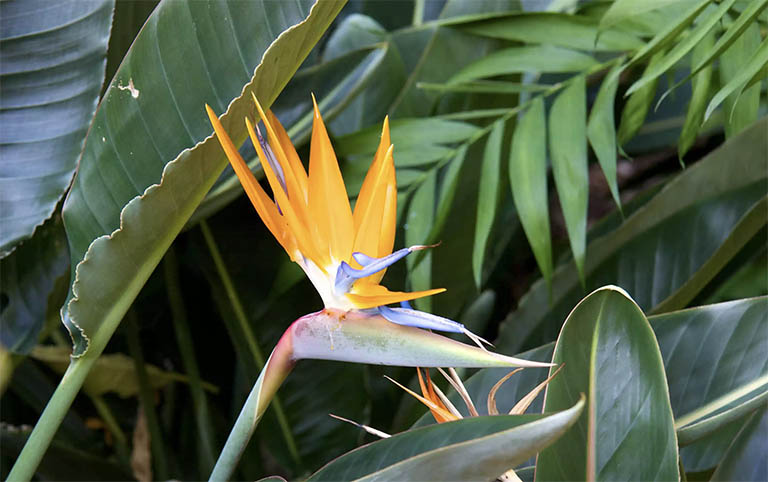 千層石景觀.jpg 千層石景觀