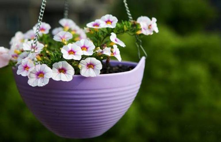 仿真樹.jpg 仿真樹