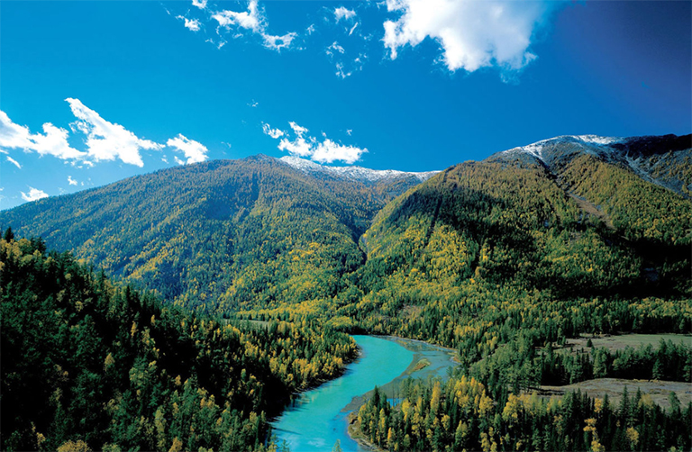 陸地生物群落塔加斯.jpg 陸地生物群落塔加斯