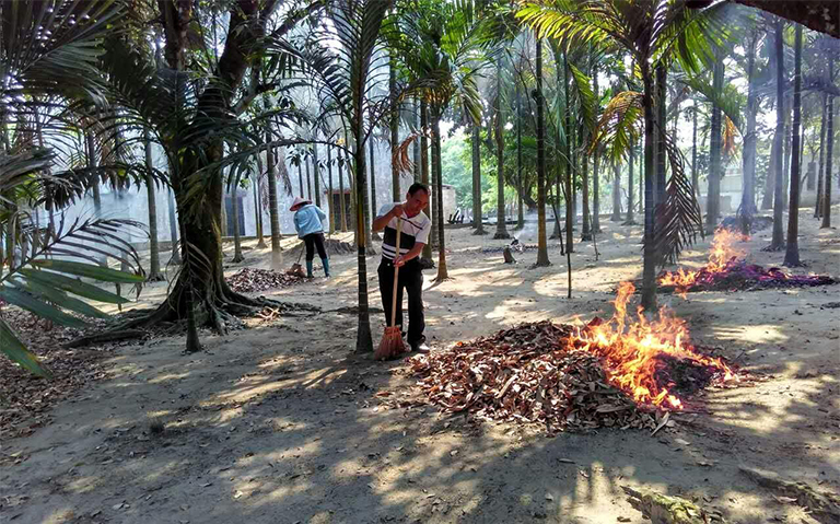 燃燒落葉.jpg 燃燒落葉