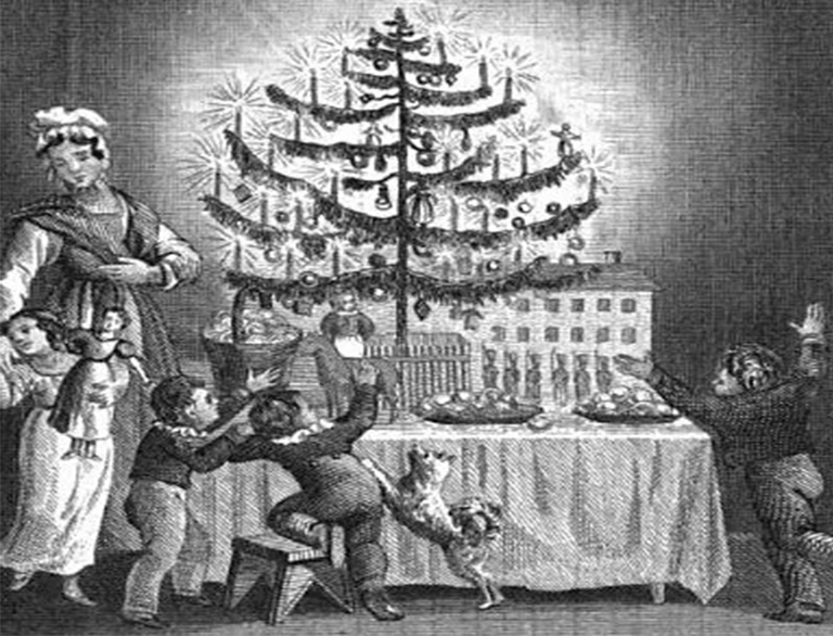 圣誕樹.jpg 圣誕樹