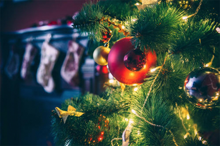 圣誕樹.jpg 圣誕樹