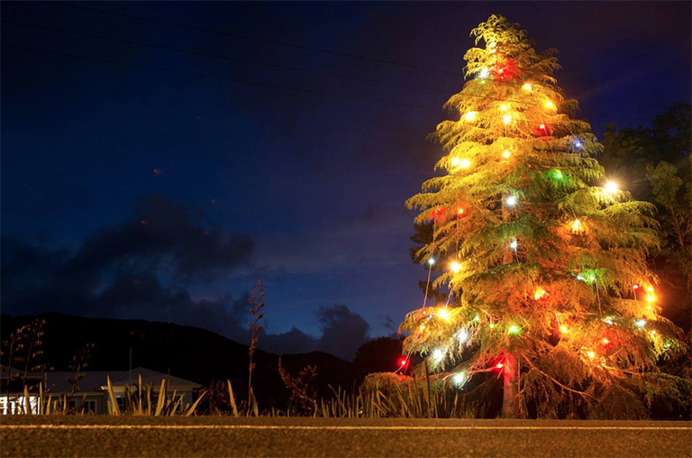 圣誕樹.jpg 圣誕樹