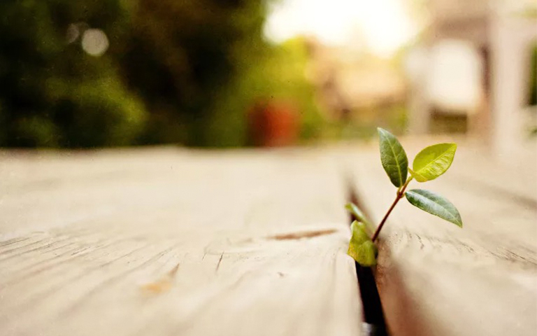 穩(wěn)定同位素分析.jpg 穩(wěn)定同位素分析