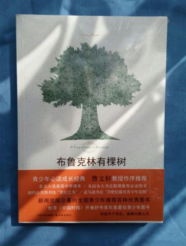 小說《布魯克林的樹長大》.jpg 小說《布魯克林的樹長大》